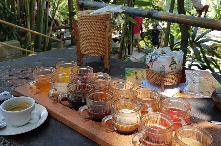 Bali Coffee Trail: From Cultivation to Cultural Values